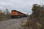 BNSF 8495